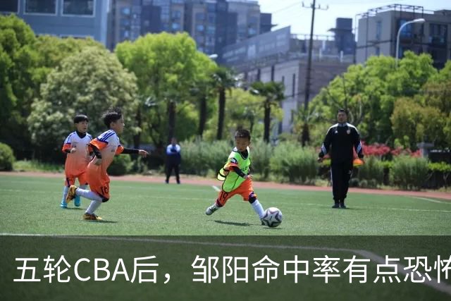 五轮CBA后，邹阳命中率有点恐怖，全面压制胡金秋