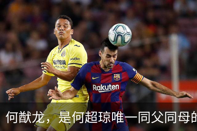 何猷龙，是何超琼唯一同父同母的亲弟弟