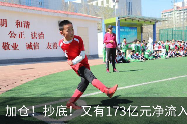 加仓！抄底！又有173亿元净流入