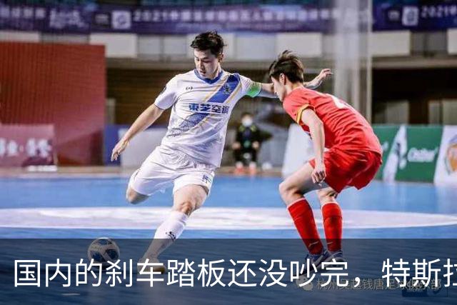 国内的刹车踏板还没吵完，特斯拉已经飞上天了！