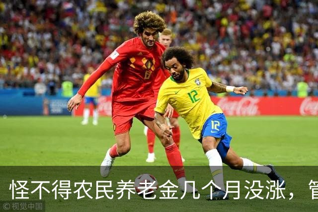 怪不得农民养老金几个月没涨，管理养老金的原副理事长被查