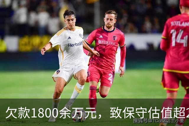 欠款1800余万元，致保守估值超2.5亿元的295套房产被查封3年