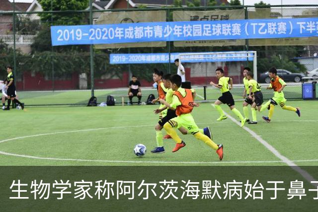 生物学家称阿尔茨海默病始于鼻子，研究指向感染与污染颗粒
