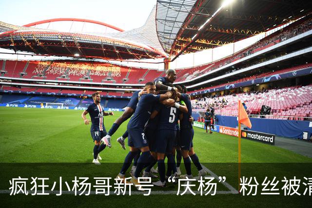 疯狂小杨哥新号“庆杨”粉丝被清零，记者实测：关注不计入粉丝量