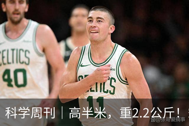 科学周刊｜高半米，重2.2公斤！霸王滇菌是怎么长到这么大的？大风新闻专访微生物研究专家