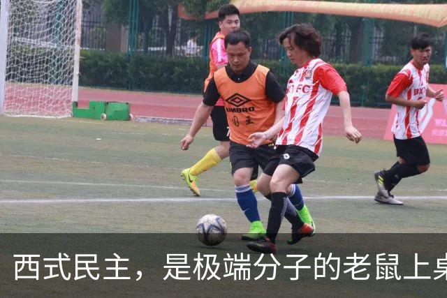 西式民主，是极端分子的老鼠上桌